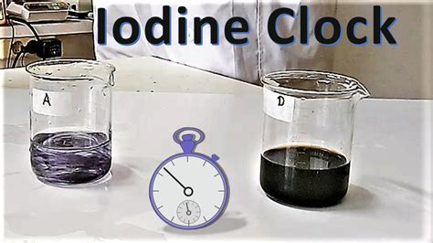 iodine clock experiment lab report Ebook Kindle Editon